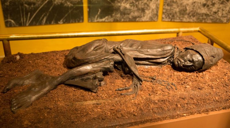 Wer war der Tollund-Mann? Moorleiche aus der Eisenzeit in Dänemark