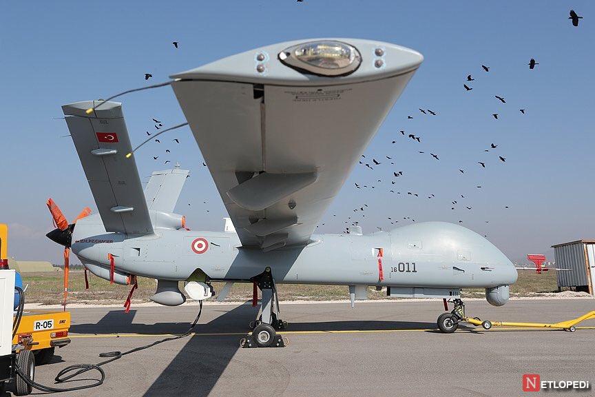 Der stille Wächter am Himmel: TUSAŞ ANKA UAV-Familie